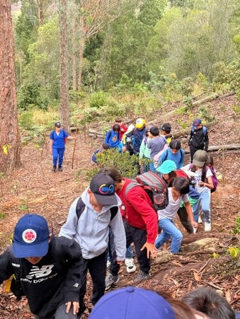 Expedición al corazón del subpáramo: descubriendo los tesoros que nos rodean